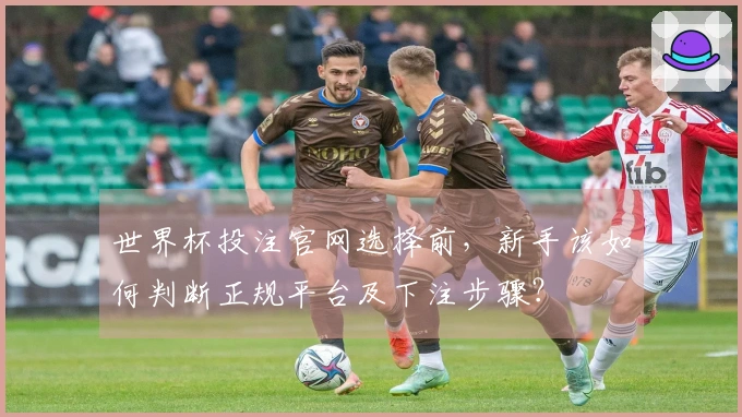 世界杯投注官网选择前，新手该如何判断正规平台及下注步骤？