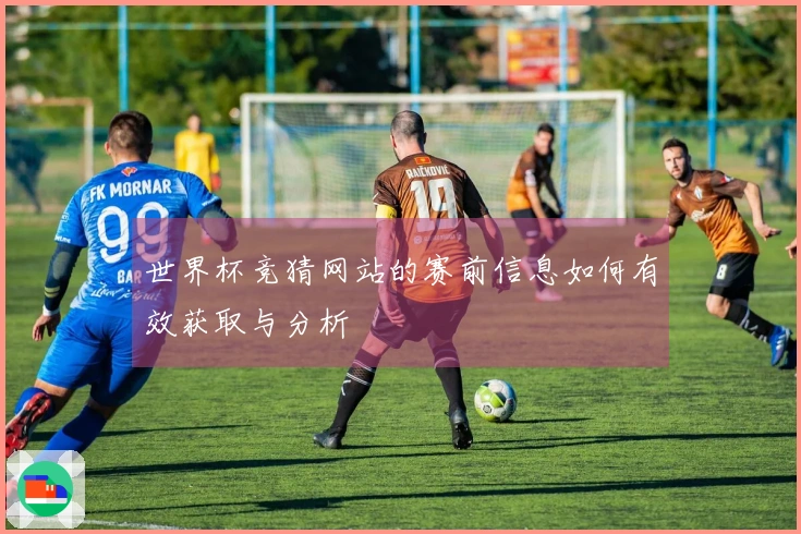 世界杯竞猜网站的赛前信息如何有效获取与分析