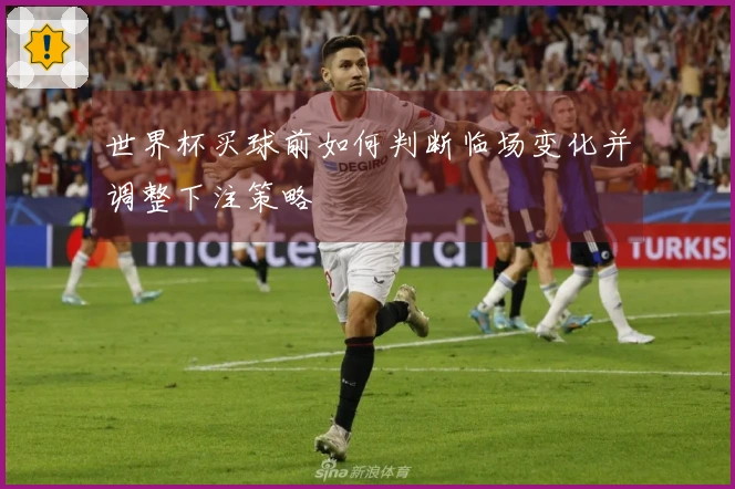 世界杯买球前如何判断临场变化并调整下注策略